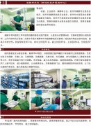 麻痹手术科